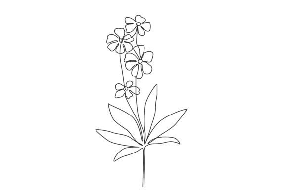 Download Delicate Flowers Line Art Plant - Delicate flowers Collection