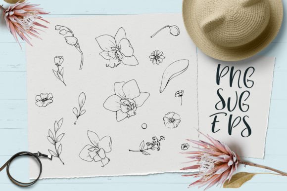 Download Delicate Flowers SVG, EPS Png - Delicate flowers Collection