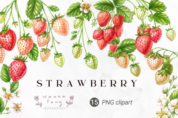 Download Strawberry Fruit Watercolor Clipart, PNG - Strawberry Collection