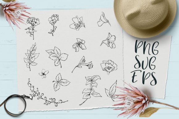 Download Delicate Flowers SVG, EPS Png - Delicate flowers Collection